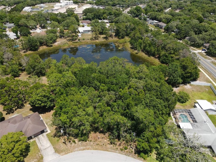 BUILD YOUR DREAM HOME! STUNNING LAKEFRONT PROPERTY!  THIS - Beach Lot for sale in Spring Hill, Florida on Beachhouse.com