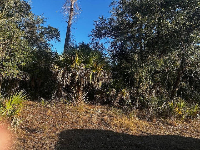 Craving space and flexibility? This is your opportunity to own a - Beach Lot for sale in North Port, Florida on Beachhouse.com