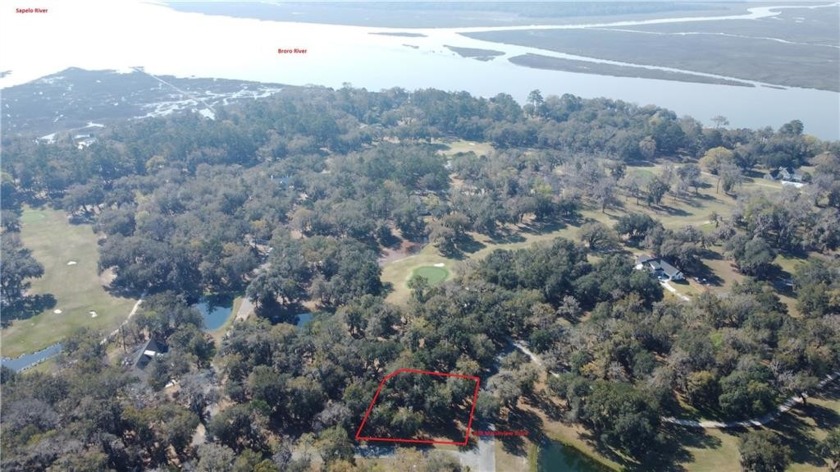 This .66 acre lot with moss draped Oak trees in the gated - Beach Lot for sale in Townsend, Georgia on Beachhouse.com