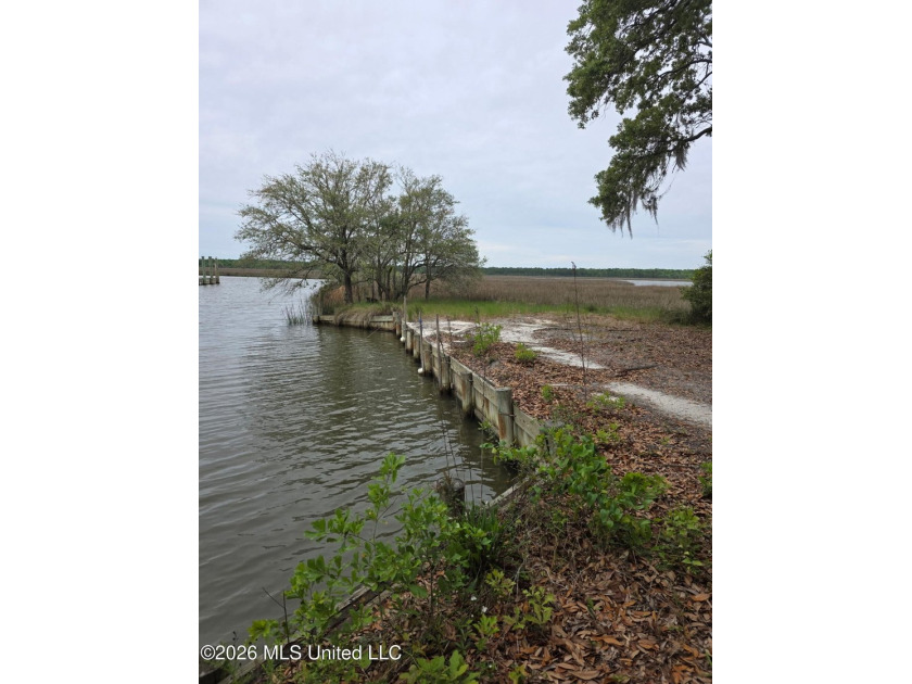 Affordable bulkheaded waterfront lot in desirable Ocean - Beach Lot for sale in Ocean Springs, Mississippi on Beachhouse.com