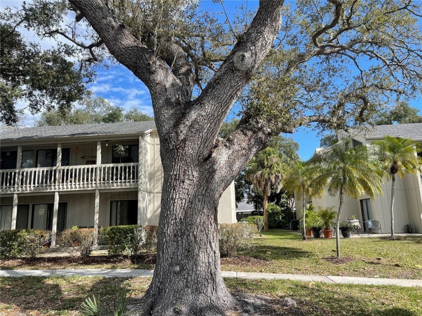 Light-Filled and Stylishly Updated 2BR/2BA Condo in Prime - Beach Condo for sale in Sarasota, Florida on Beachhouse.com