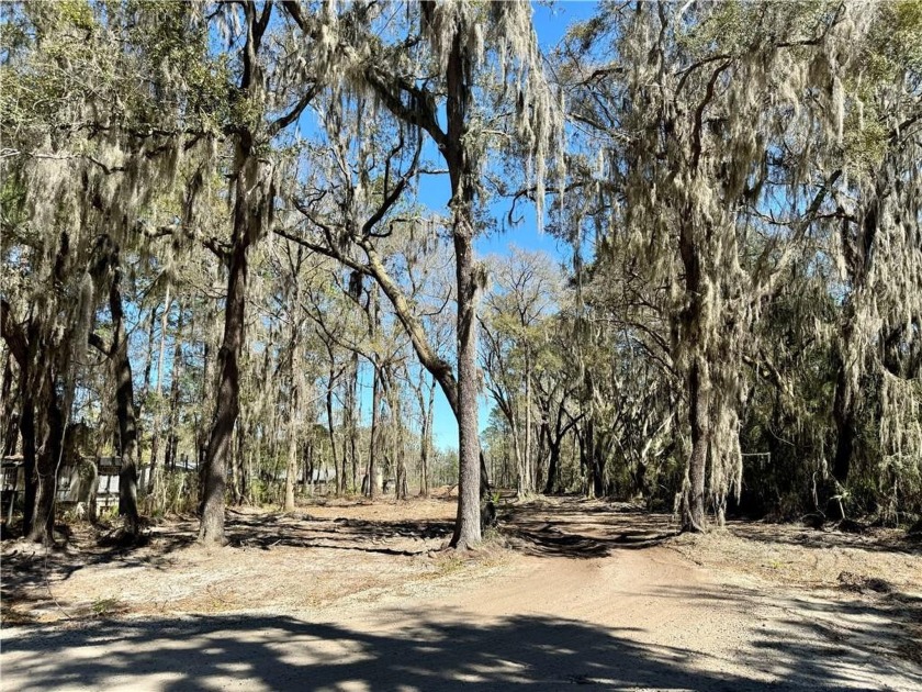 THE TIME HAS ARRIVED..... 2.97 ACRES OF LAND, WITH NO HOA, NO - Beach Acreage for sale in Townsend, Georgia on Beachhouse.com