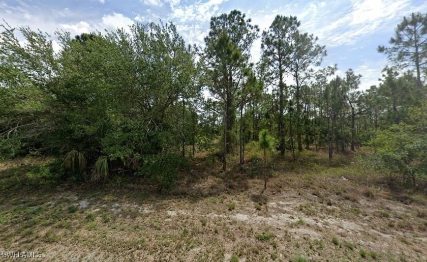 Looking for space to spread out and make your dream home a - Beach Lot for sale in Lehigh Acres, Florida on Beachhouse.com