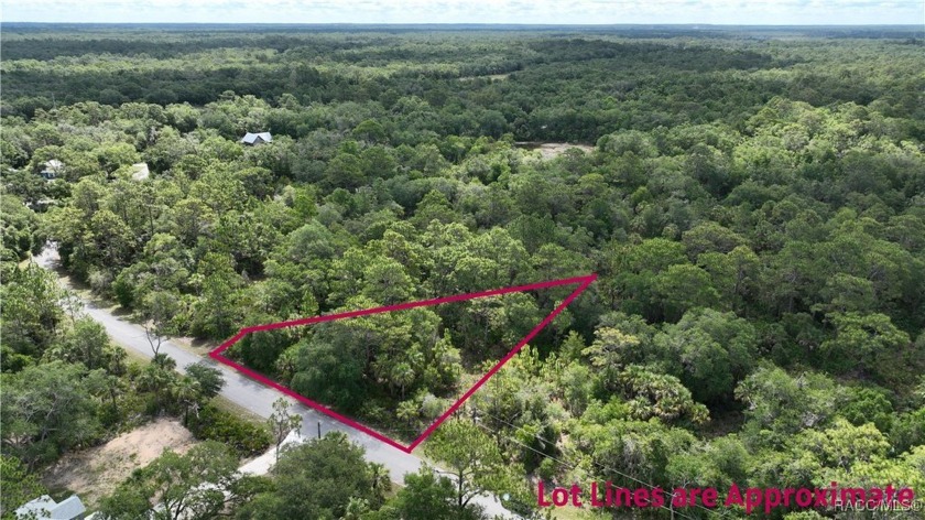 Discover the ideal canvas for your dream home or investment - Beach Lot for sale in Crystal River, Florida on Beachhouse.com