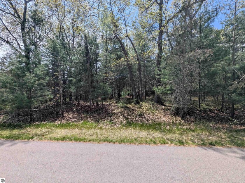 100% wooded vacant potential building site located at the Huron - Beach Lot for sale in Au Gres, Michigan on Beachhouse.com