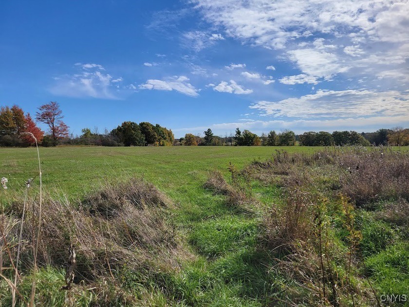 Priced to sell, This 5.80 acre lot is situated in a peaceful - Beach Acreage for sale in Chaumont, New York on Beachhouse.com