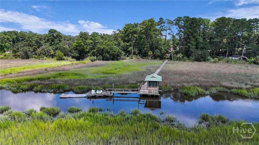 Discover this private mini estate on Hayner's Creek offering a - Beach Home for sale in Savannah, Georgia on Beachhouse.com