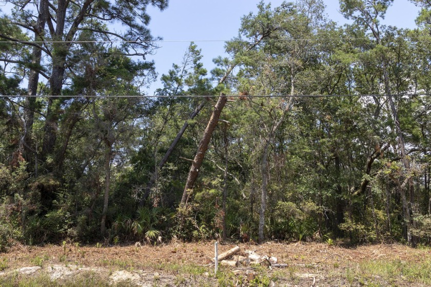 Welcome to this magnificent 50' x 150' lot located in the serene - Beach Lot for sale in Santa Rosa Beach, Florida on Beachhouse.com