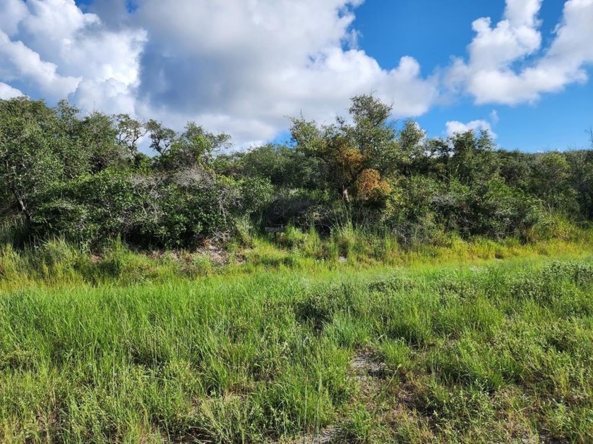 Rural county lot - a clean canvas for your vision. Ready to - Beach Lot for sale in Rockport, Texas on Beachhouse.com