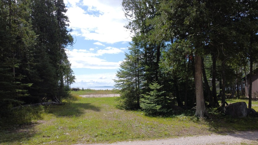 Incredibly versatile property with cement pad & patio for an RV - Beach Lot for sale in Hessel, Michigan on Beachhouse.com