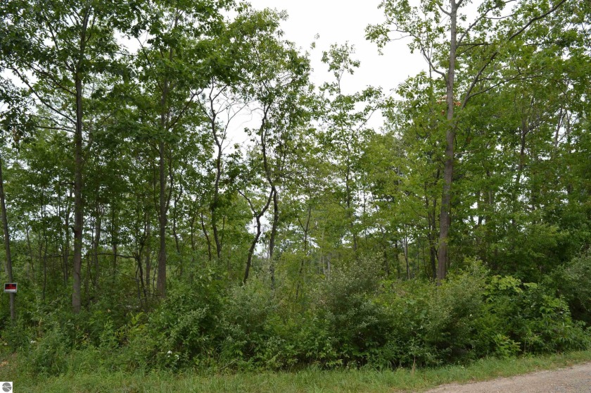 Great 10 acres parcel for that new home, recreational getaway - Beach Acreage for sale in Traverse City, Michigan on Beachhouse.com
