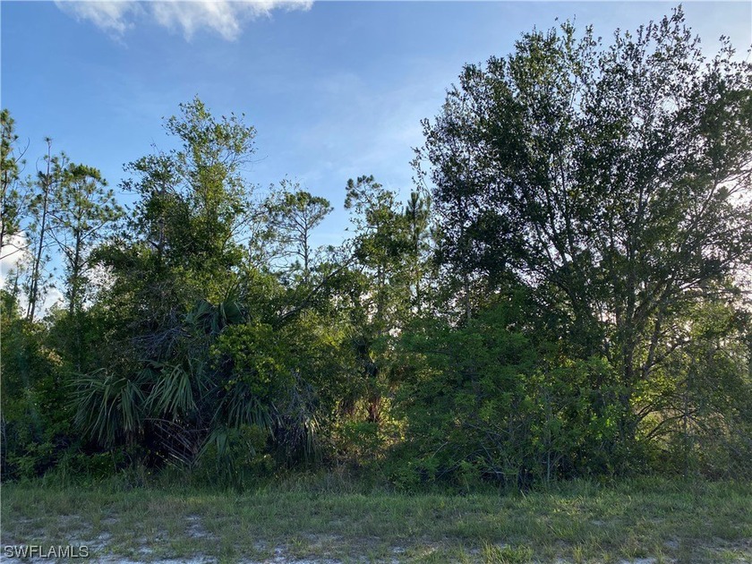 Welcome to Tropical Gulf Acres- Great opportunity to build your - Beach Lot for sale in Punta Gorda, Florida on Beachhouse.com
