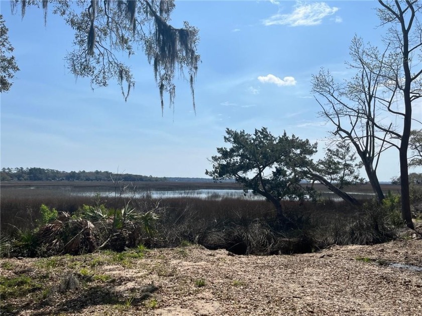 Panoramic Sweeping Views - 1 acre homesite overlooking the - Beach Lot for sale in Townsend, Georgia on Beachhouse.com