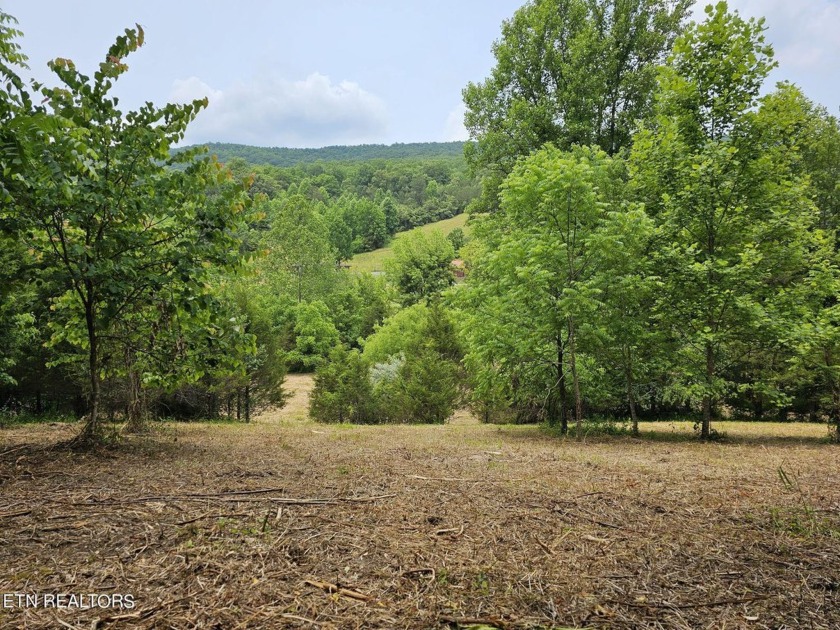 You've just found the property that has fields enough to support - Beach Acreage for sale in Sneedville, Tennessee on Beachhouse.com