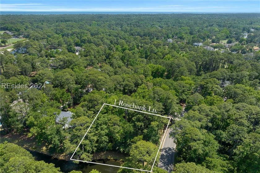 Nestled amidst stunning landscapes adorned with majestic trees - Beach Lot for sale in Hilton Head Island, South Carolina on Beachhouse.com