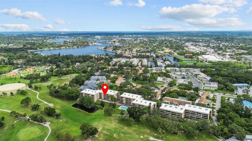 Discover carefree living in the vibrant 55+ community of Green - Beach Condo for sale in Tarpon Springs, Florida on Beachhouse.com