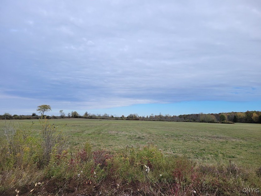 Let's explore your options with this level and clear lot. With - Beach Acreage for sale in Cape Vincent, New York on Beachhouse.com