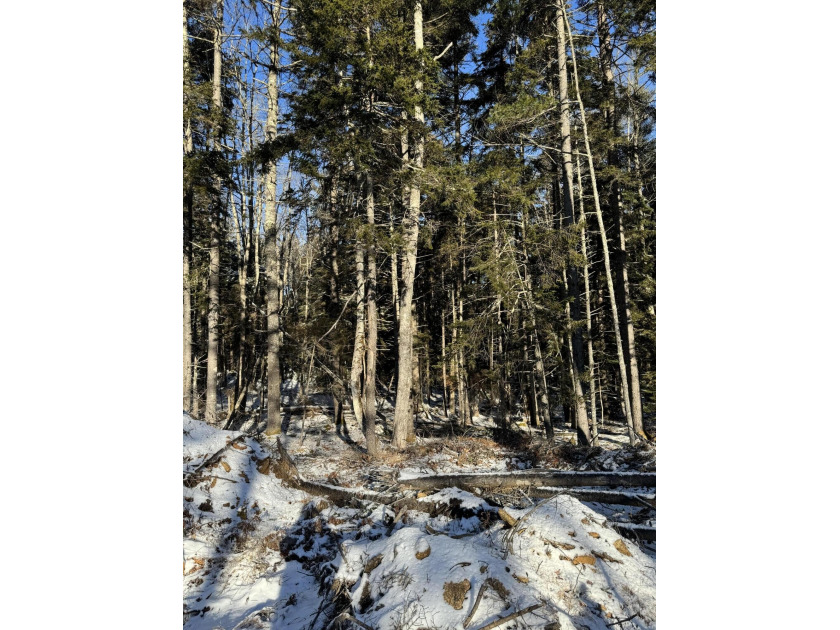 Ideally situated near Pemaquid Harbor, this 2.55-acre lot offers - Beach Acreage for sale in Bristol, Maine on Beachhouse.com
