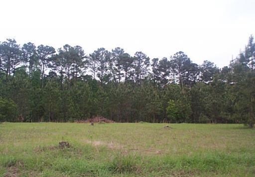 BEAUTIFUL WOODED HOMESITE IN HIGHLY DESIRABLE, ESTABLISHED GROVE - Beach Lot for sale in Savannah, Georgia on Beachhouse.com