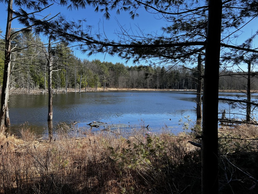 This lovely 4.92-acre parcel accessed through the Back Eighty - Beach Acreage for sale in Boothbay, Maine on Beachhouse.com