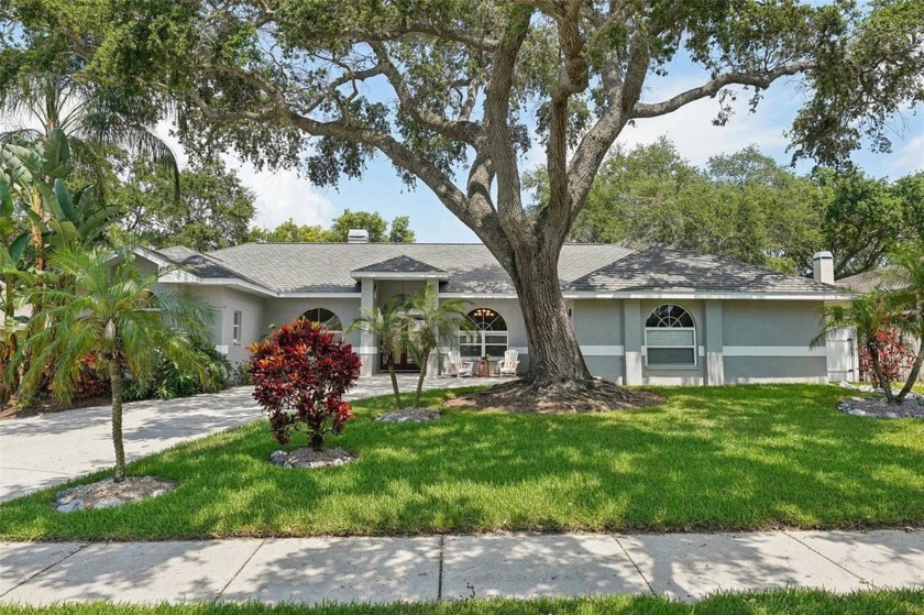 All the bells and whistles for the discriminating buyer can be - Beach Home for sale in Dunedin, Florida on Beachhouse.com