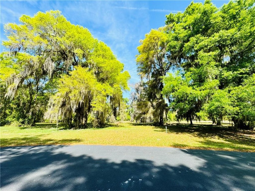 87 OF AN ACRE LOT IN AN X FLOOD ZONE (NO FLOOD INSURANCE - Beach Lot for sale in Townsend, Georgia on Beachhouse.com
