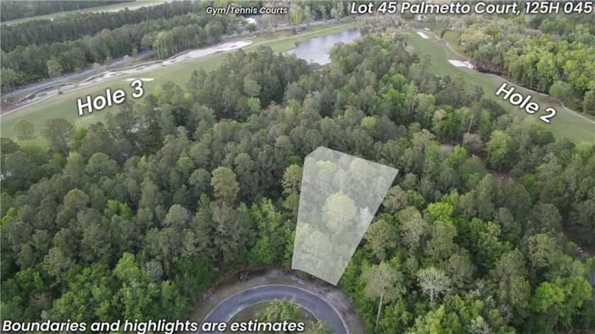 This is non flood zone, interior lot is 0.32 acre build-able lot - Beach Lot for sale in Waverly, Georgia on Beachhouse.com