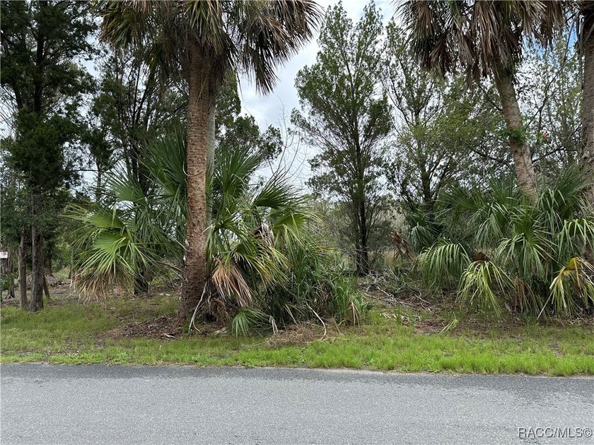 This .23-acre parcel offers rare water access to Mason Creek via - Beach Lot for sale in Homosassa, Florida on Beachhouse.com