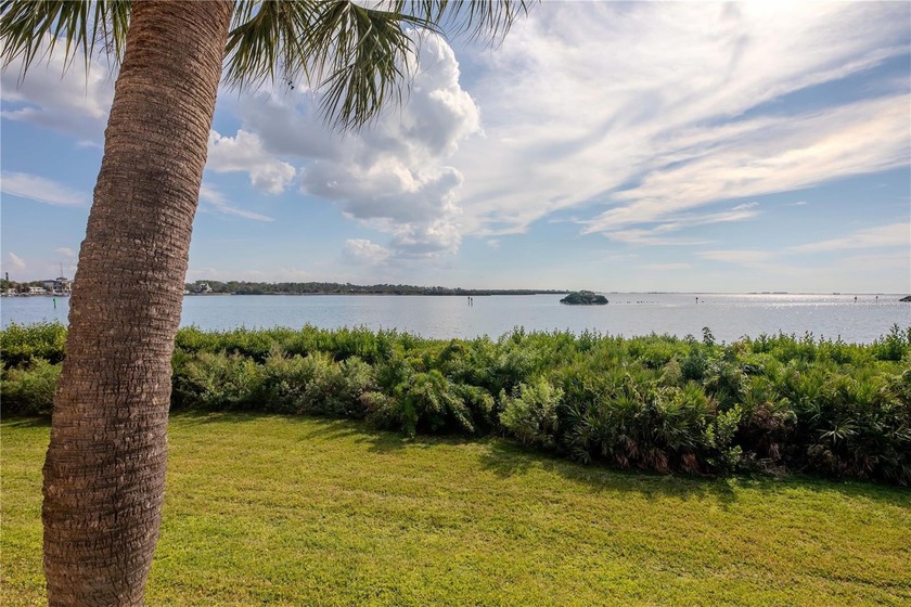 Experience Gulf-front living in this well-cared-for first-floor - Beach Condo for sale in Tarpon Springs, Florida on Beachhouse.com