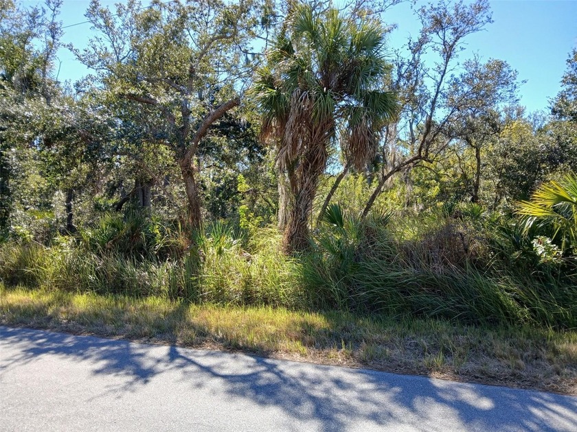 Build your dream Florida retreat on this exceptional residential - Beach Lot for sale in Port Charlotte, Florida on Beachhouse.com