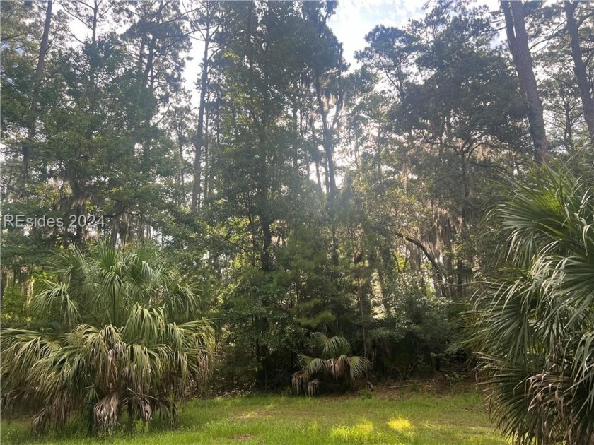 Quiet half acre lot located on secluded Daufuskie Island.  This - Beach Lot for sale in Daufuskie Island, South Carolina on Beachhouse.com