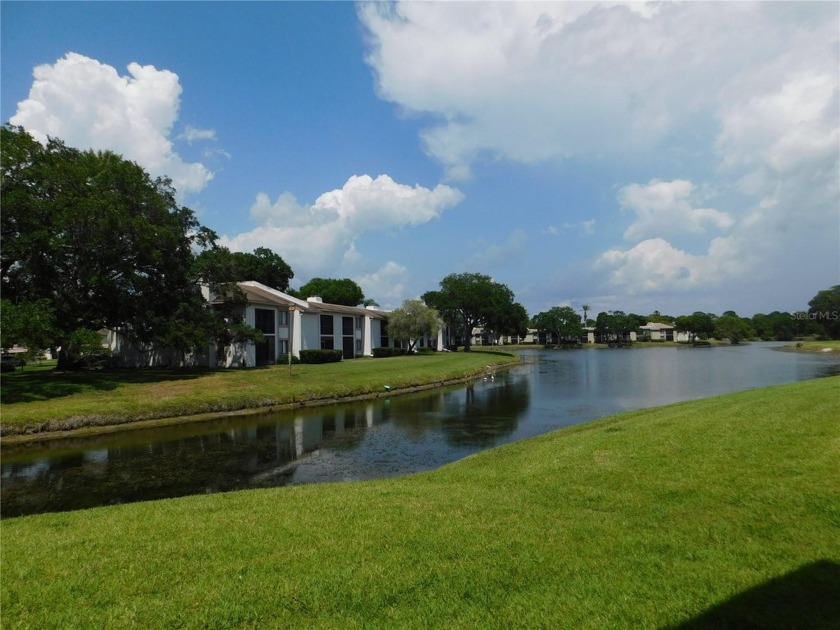 An opportunity not to be missed - come and see this renovated - Beach Condo for sale in Oldsmar, Florida on Beachhouse.com