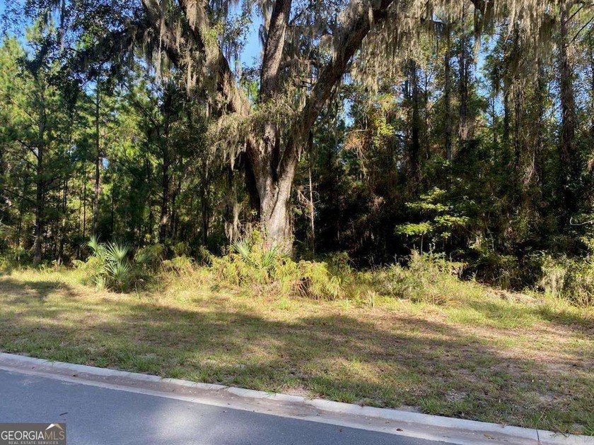 Build your dream home in this beautiful coastal subdivision with - Beach Lot for sale in Waverly, Georgia on Beachhouse.com