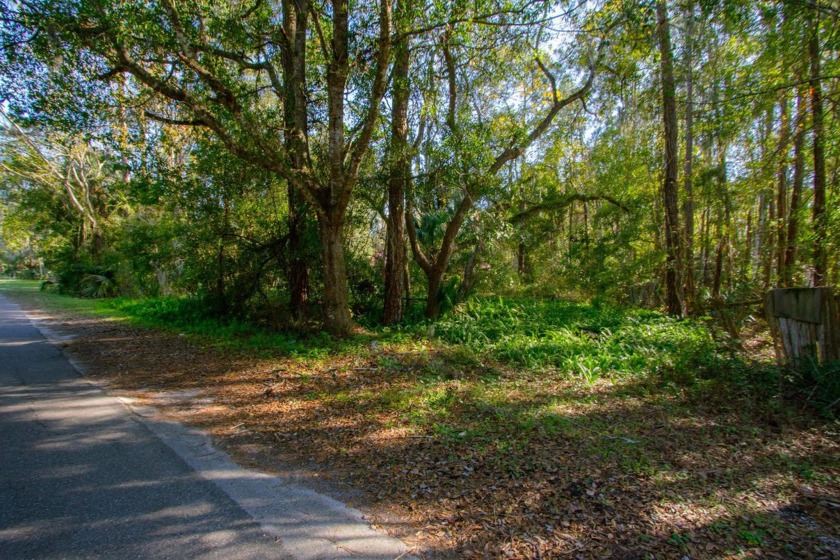 Gorgeous Building Lot Nestled In The Heart Of St. Augustine With - Beach Lot for sale in St Augustine, Florida on Beachhouse.com