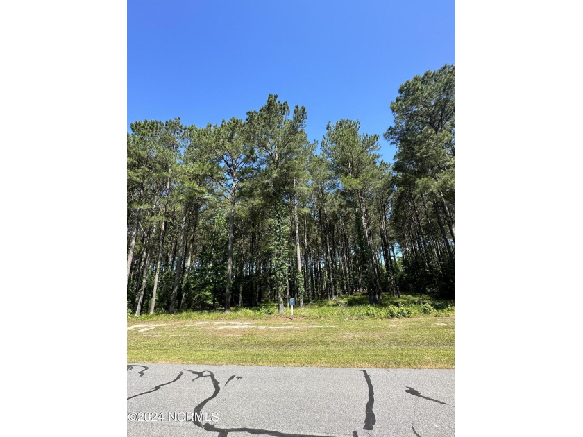 This beautiful .59 acre lot is located in the center of the - Beach Lot for sale in Edenton, North Carolina on Beachhouse.com