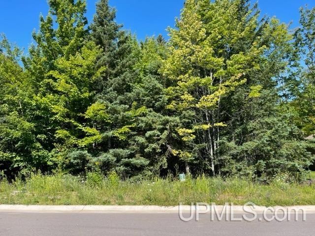 This beautiful, wooded site is located near the nature trail - Beach Lot for sale in Marquette, Michigan on Beachhouse.com