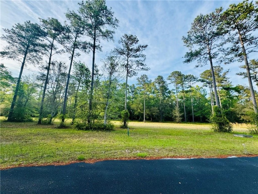 53 OF AN ACRE BEHIND THE GATES OF COOPERS POINT AT SHELLMAN - Beach Lot for sale in Townsend, Georgia on Beachhouse.com