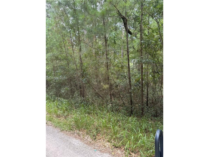 Imagine building your dream cottage here with peekaboo sunsets - Beach Lot for sale in Daufuskie Island, South Carolina on Beachhouse.com