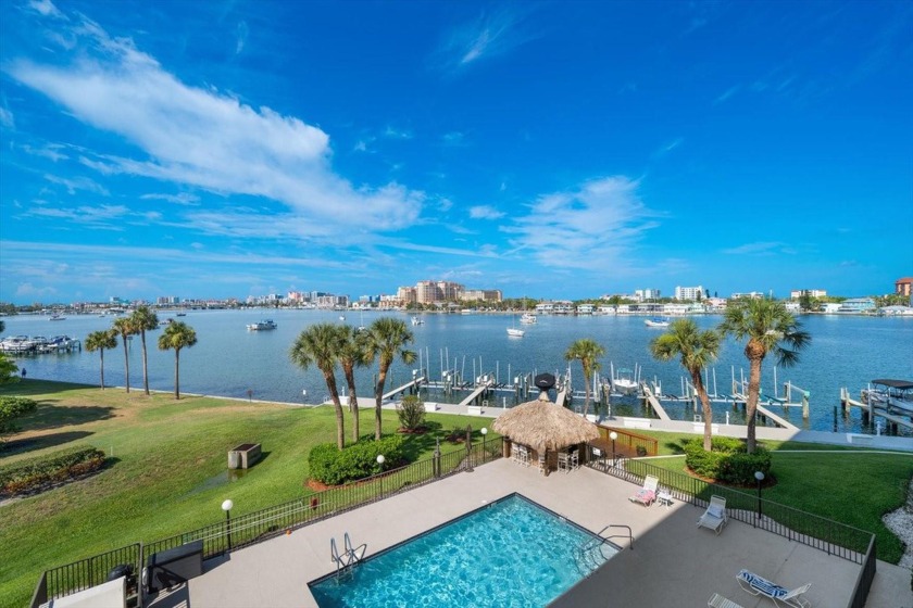 TWO SIDE BY SIDE 40 FT. EACH OPEN WATER  HARBOR FRONT BOAT DOCKS - Beach Condo for sale in Clearwater, Florida on Beachhouse.com