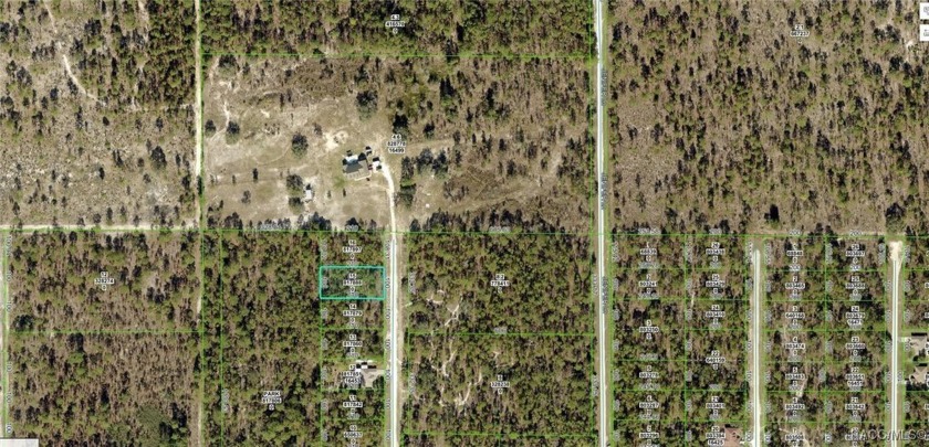 Discover this nearly half an acre homesite in the heart of - Beach Lot for sale in Weeki Wachee, Florida on Beachhouse.com