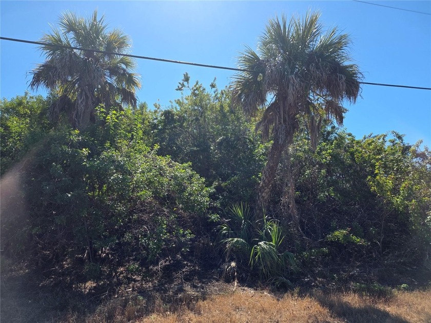 Opportunity to invest in Gulf ACCESS Waterfront Land, zoned for - Beach Lot for sale in Port Charlotte, Florida on Beachhouse.com