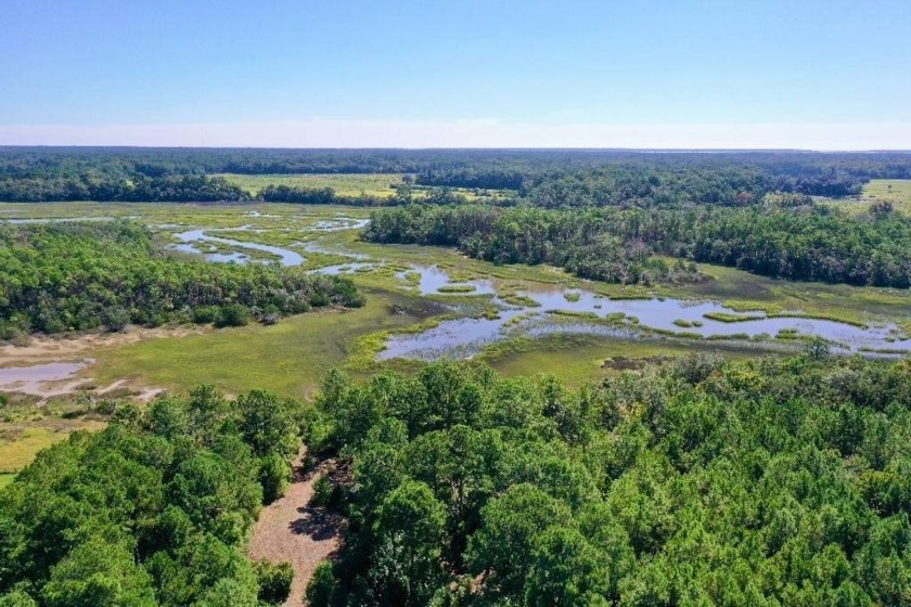 What an opportunity here on a beautiful private lot on the - Beach Acreage for sale in Saint Helena Island, South Carolina on Beachhouse.com