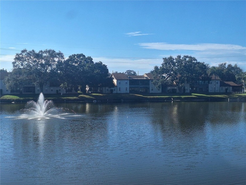 Location Location Location!!! Make this light flooded condo YOUR - Beach Condo for sale in Holiday, Florida on Beachhouse.com