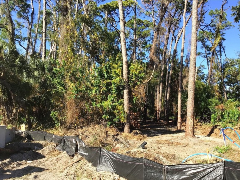 Site development is scheduled for completion in March 2026. The - Beach Lot for sale in Palm Harbor, Florida on Beachhouse.com