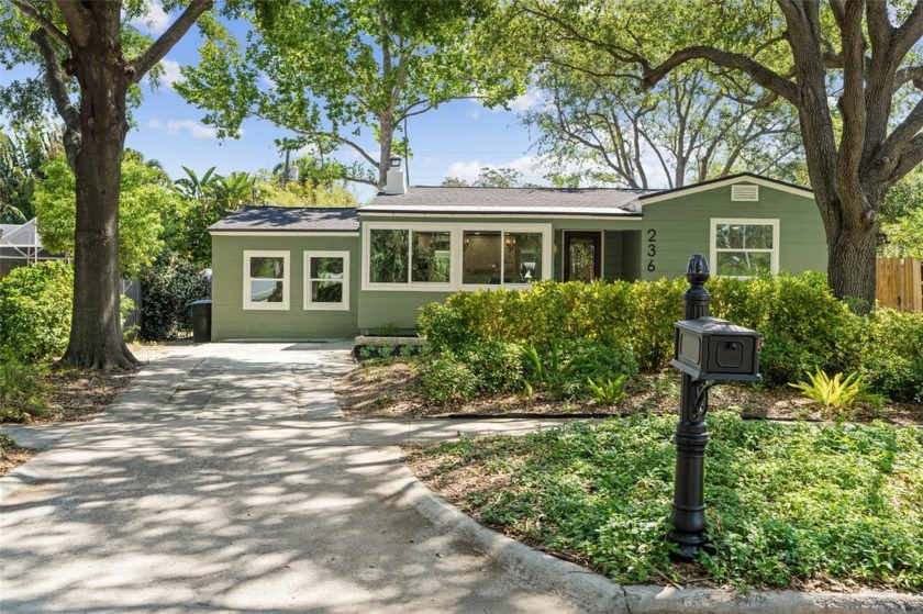 The House That Laughed at Hurricanes! Why You Need This House:
 - Beach Home for sale in Dunedin, Florida on Beachhouse.com