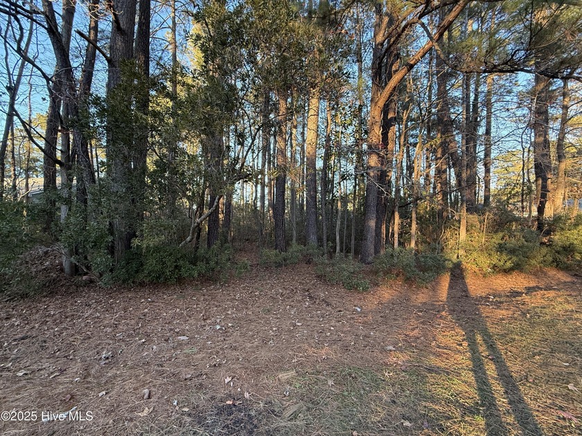 Build your dream home on this .30-acre lot nestled in the - Beach Lot for sale in New Bern, North Carolina on Beachhouse.com
