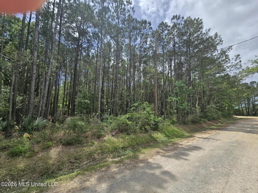 Build your dream home with easy access to local waterways - Beach Lot for sale in Bay Saint Louis, Mississippi on Beachhouse.com