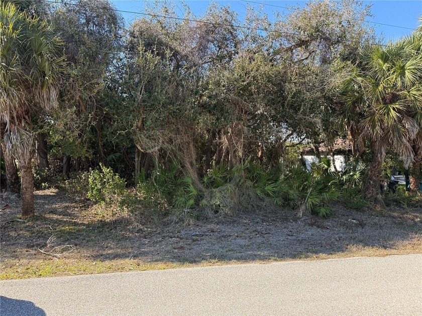 Imagine, stepping out your back door and casting a line at - Beach Lot for sale in Port Charlotte, Florida on Beachhouse.com