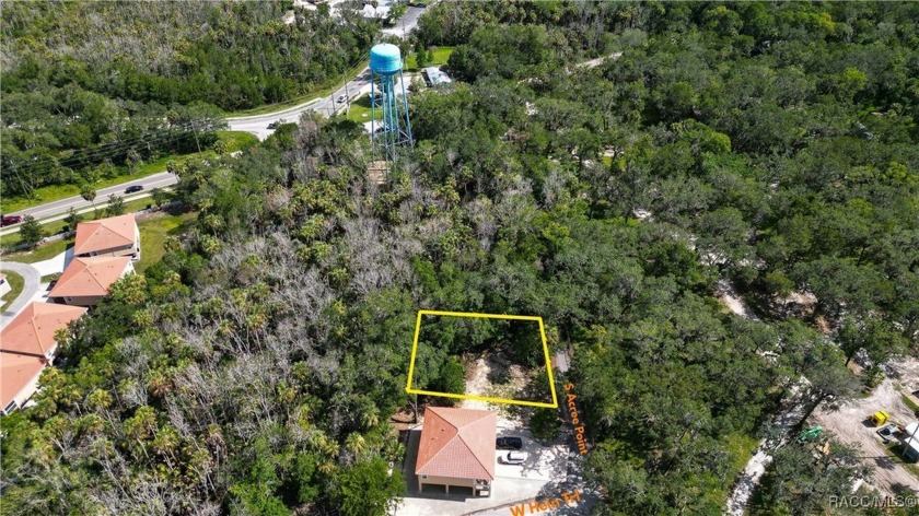 Build Your Dream Home or Invest with a new Rental in a prime - Beach Lot for sale in Homosassa, Florida on Beachhouse.com