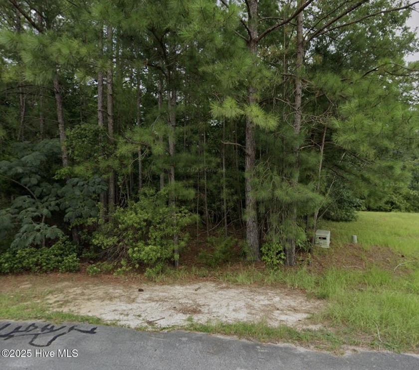 Stop dreaming and start building! A beautiful residential lot is - Beach Lot for sale in Havelock, North Carolina on Beachhouse.com